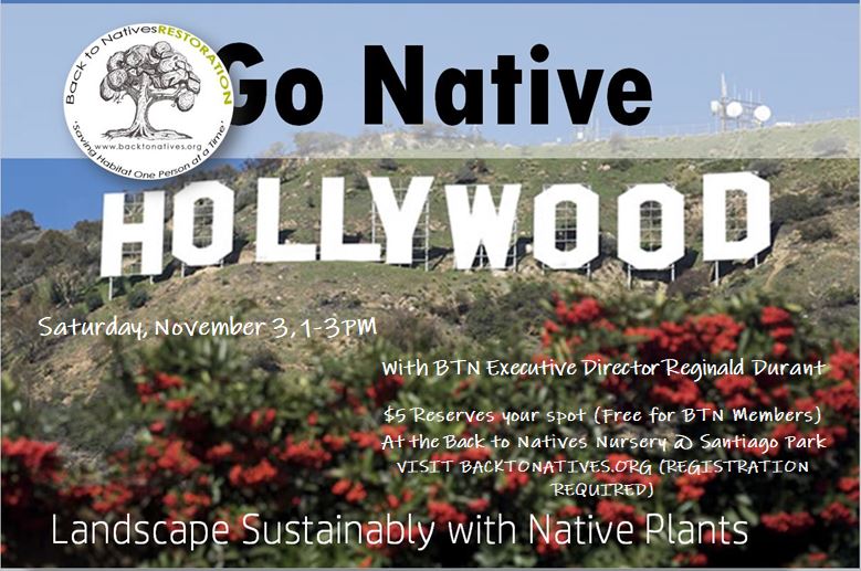 Go Native: Landscaping Sustainably with Native Plants for Birds and Butterflies 